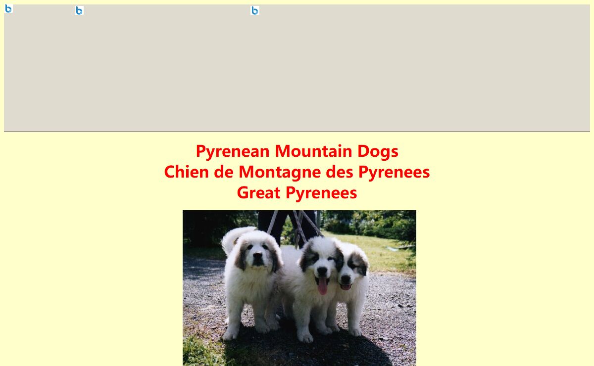 Pyrenean Mountain Dogs, New Zealand
