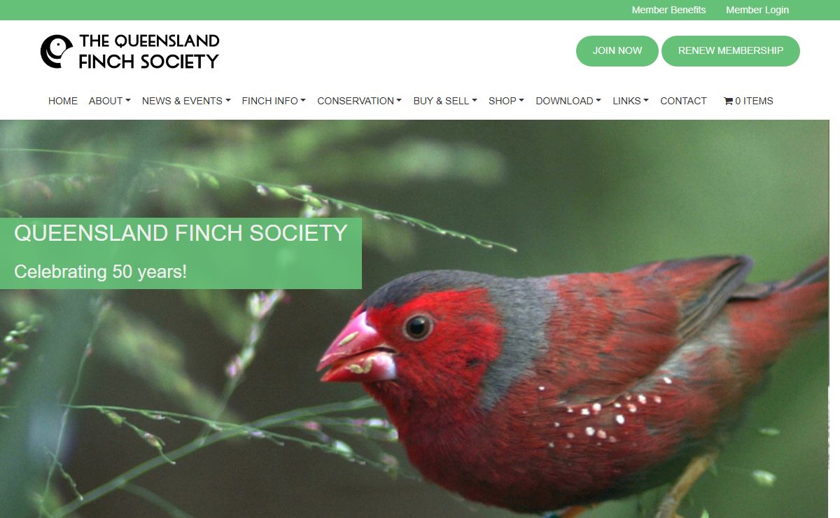 Queensland Finch Society - Qld Finch