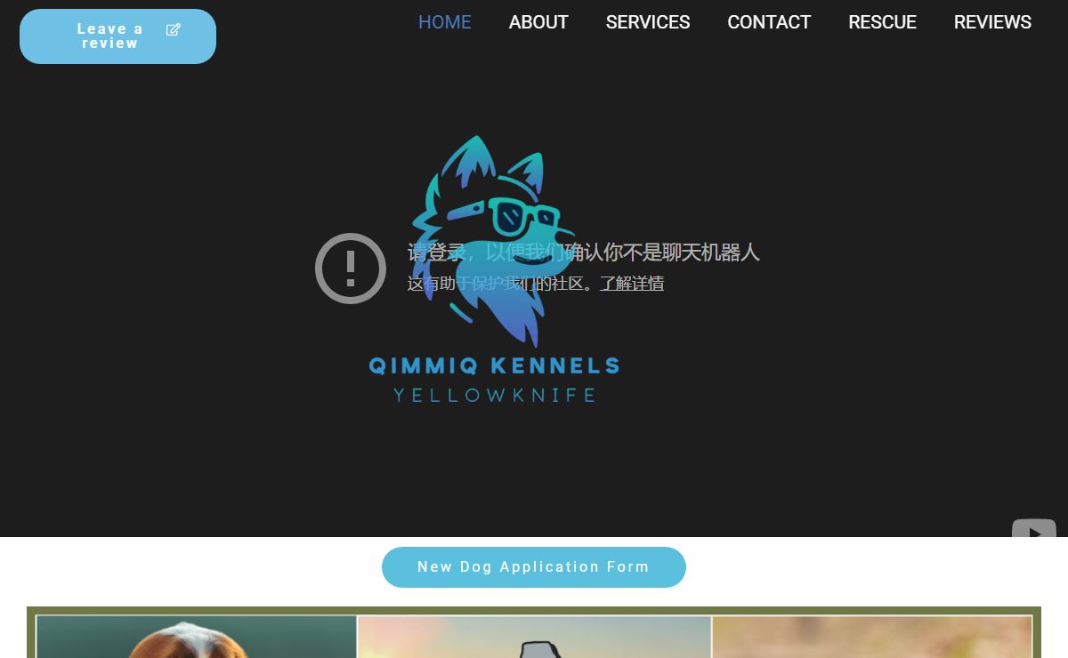 Home - Qimmiq Kennels