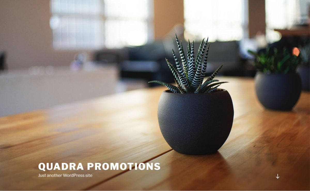 Quadra Promotions – Just another WordPress site