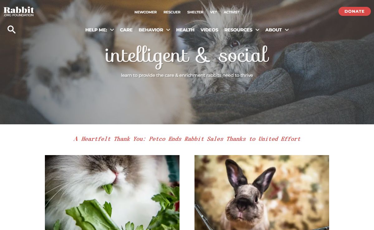 House Rabbit Care & Behavior - Rabbit.org