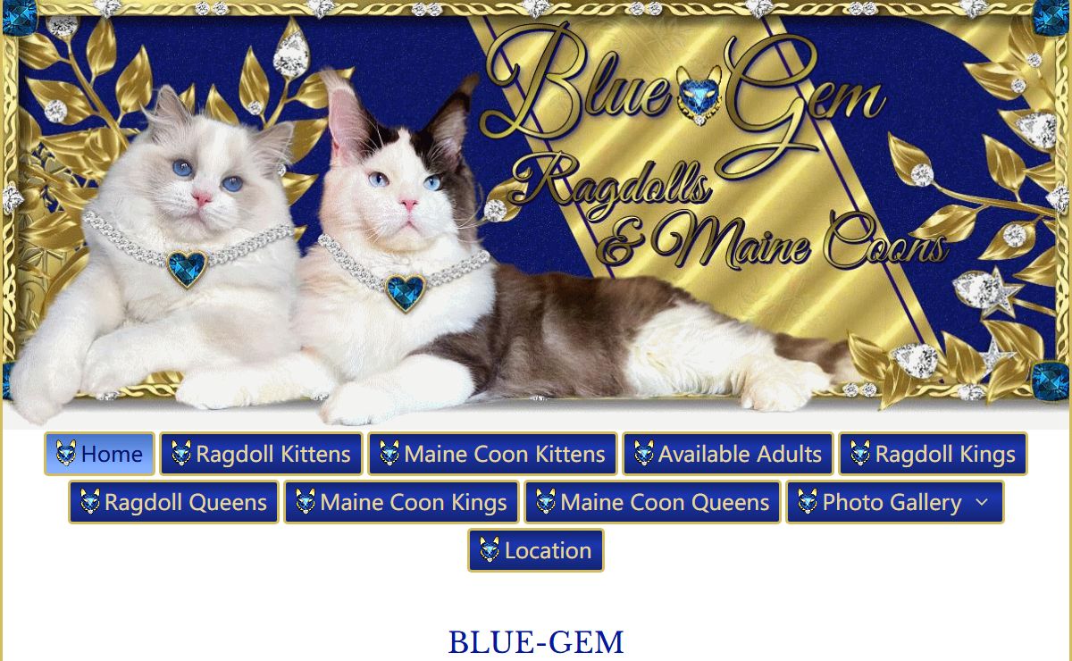 BlueGem Ragdolls & Maine Coons Breeder Located Savanah GA