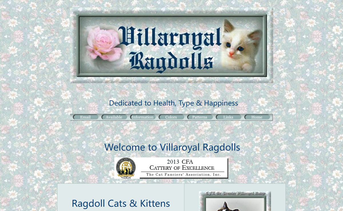 RAGDOLL CATS RAGDOLL KITTENS FOR SALE RAGDOLL BREEDER NY