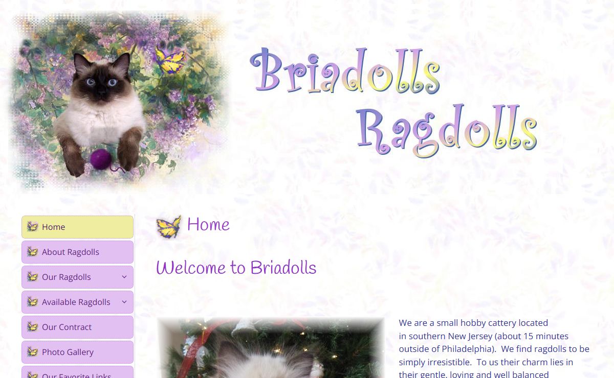Home | Briadolls Ragdolls