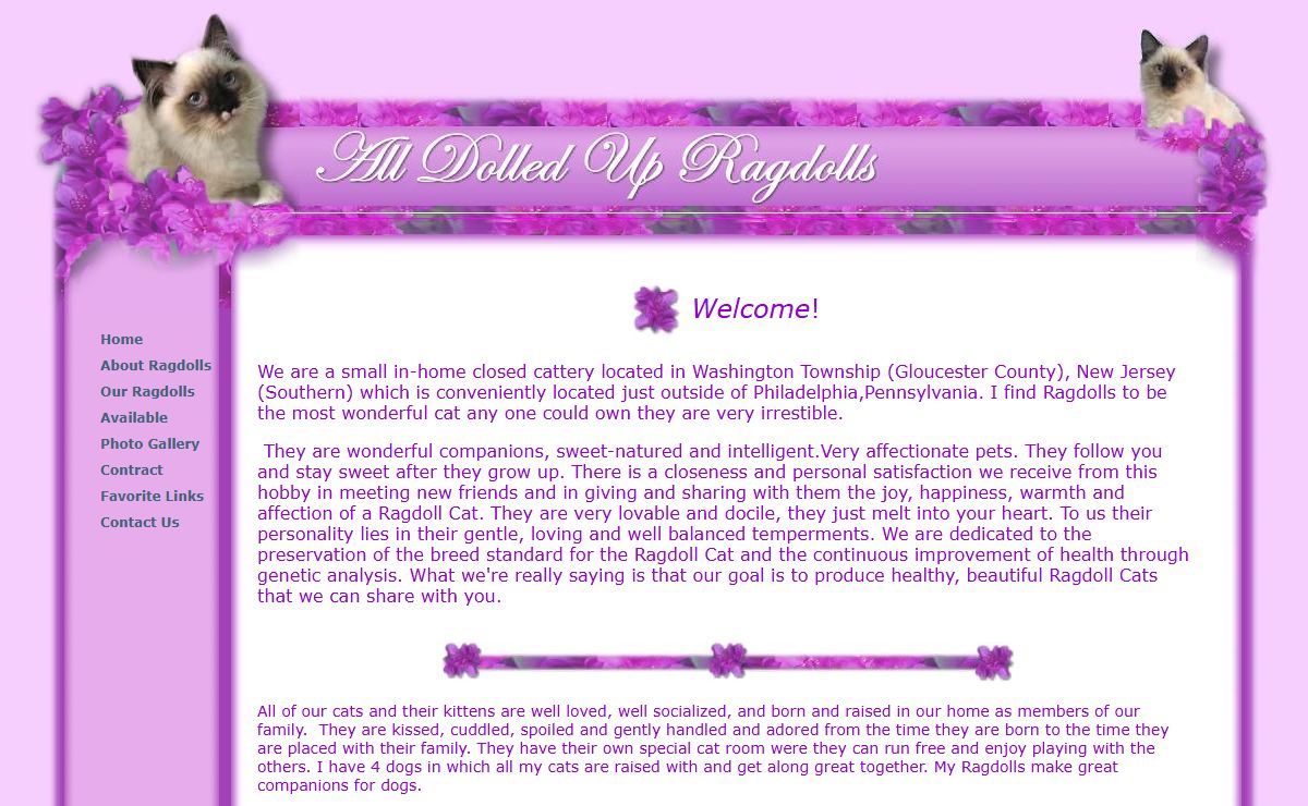 All Dolled Up Ragdolls Cattery - Ragdoll Cats - kittens - located in New Jersey