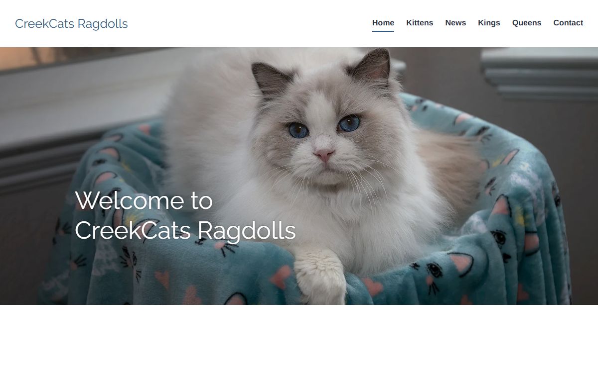 CreekCats Ragdolls – Ragdoll Cattery in San Diego, CA – Cats, kittens for show, breeding and pets