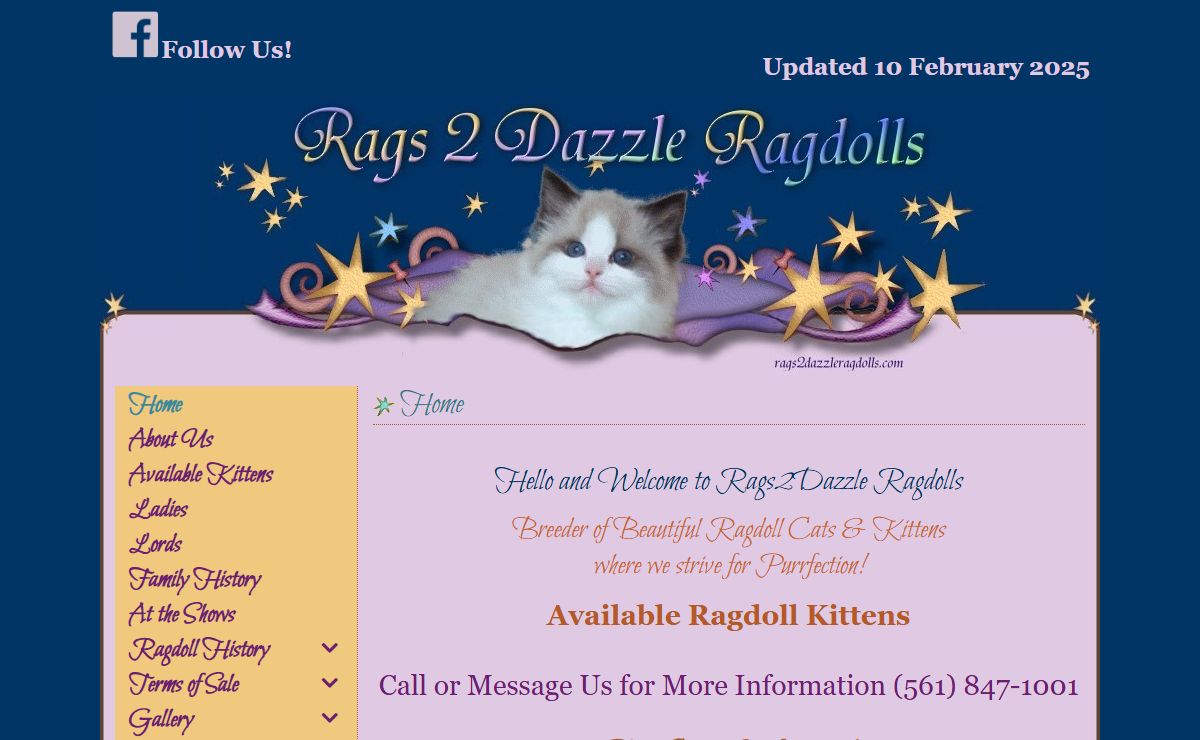 Ragdoll Kittens For Sale TN, AL, GA, KY, SC, NC Rags2Dazzle Ragdolls