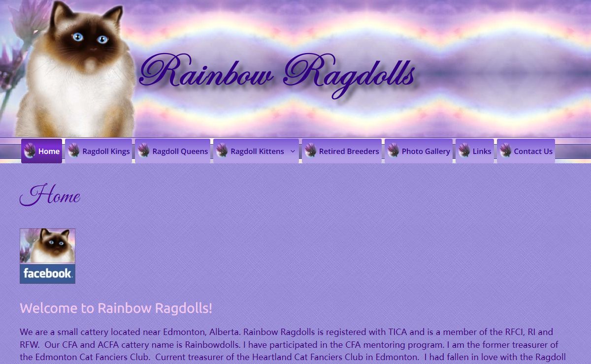 Ragdoll Cats & Kittens of Rainbow Ragdolls Cattery Alberta Canada