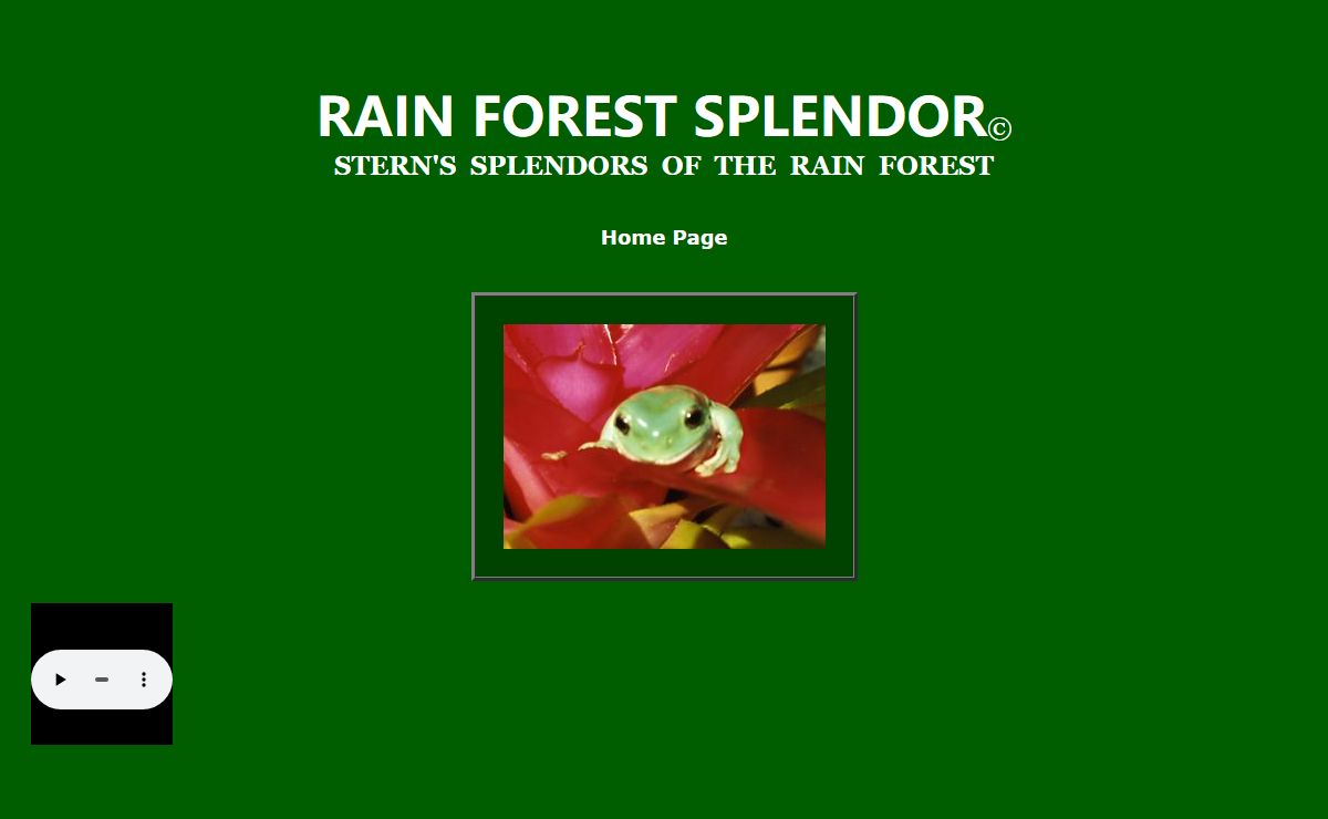 SPLENDORS OF THE RAIN FOREST