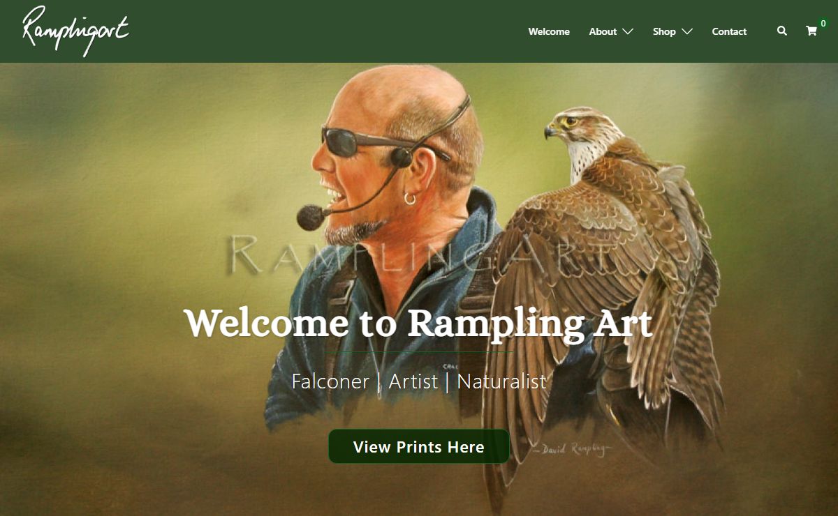 Rampling Art – David Rampling | Falconer & Artist
