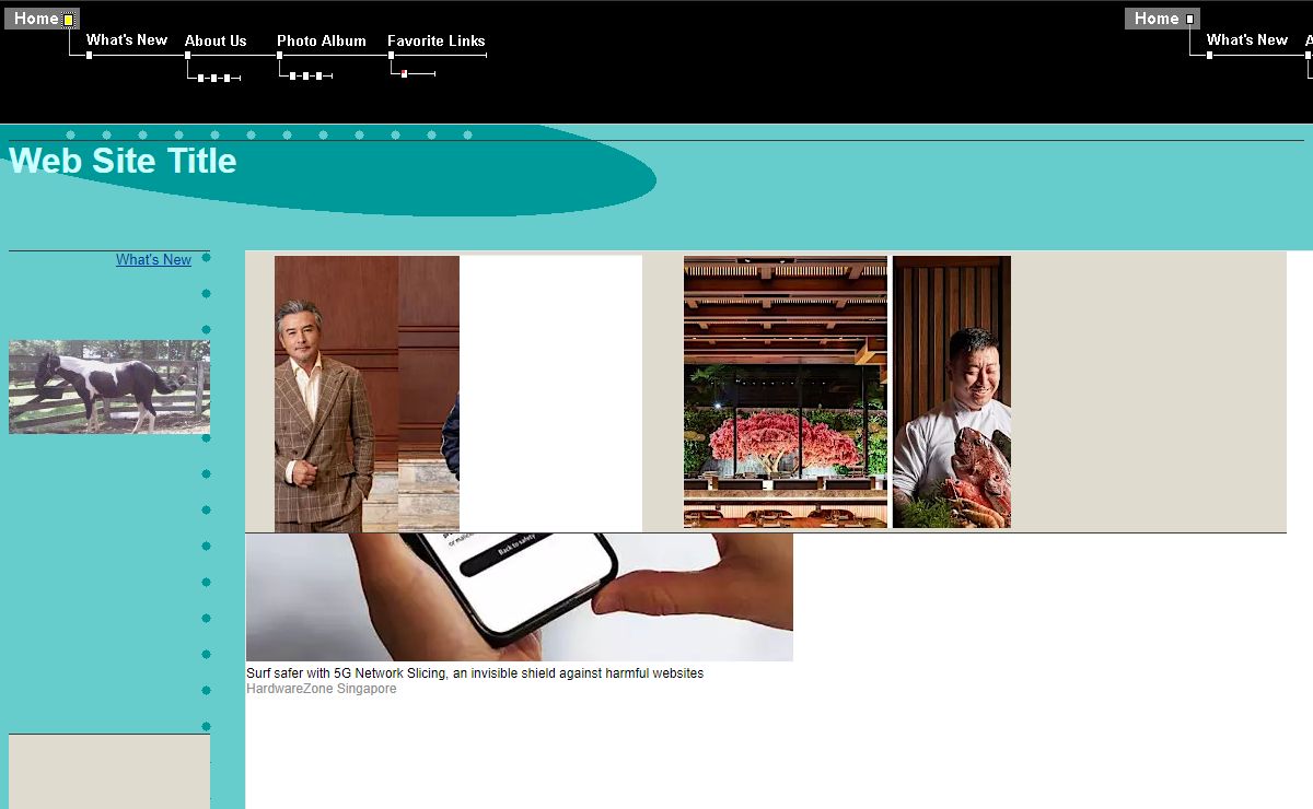 Web Site Title
