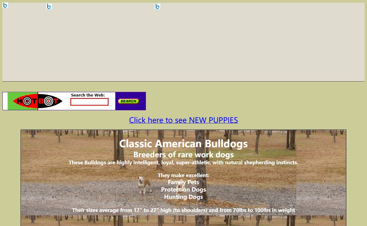 Classic American Bulldogs