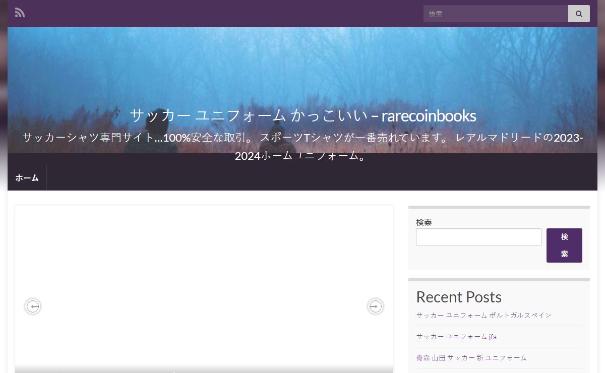 サッカー ユニフォーム かっこいい - rarecoinbooks