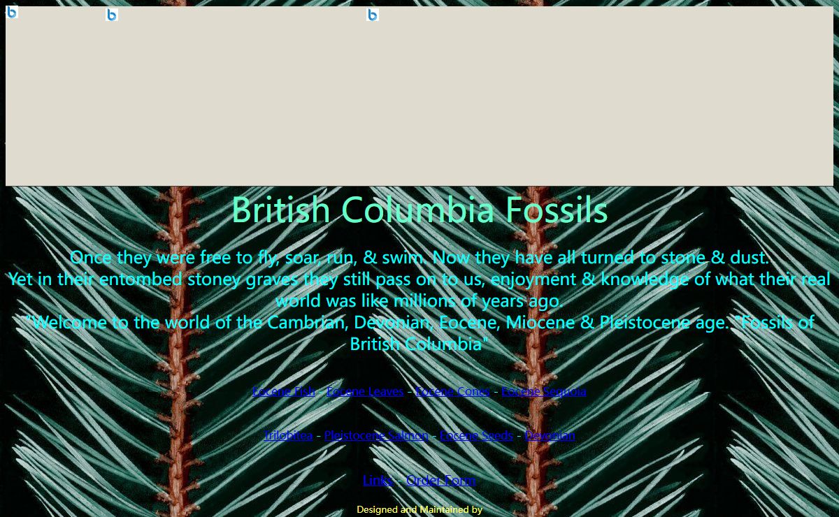 British Columbia Fossils