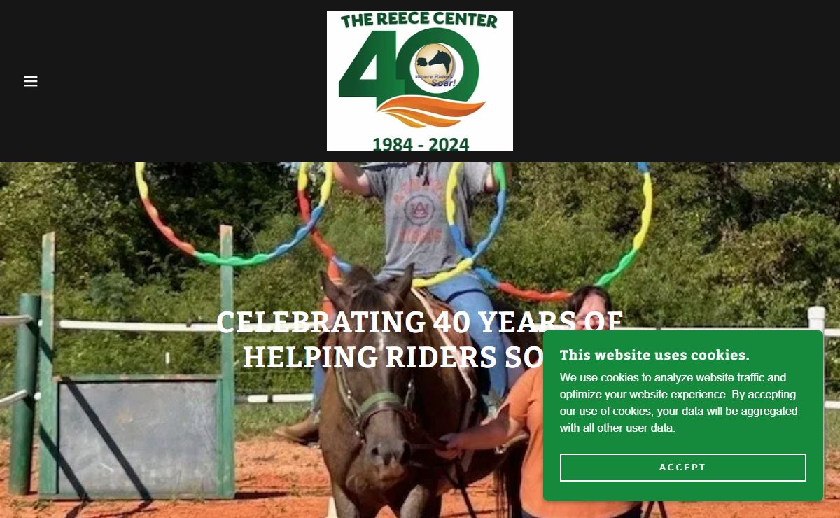 The Reece Center - Equine Assisted Therapy, Disabled Horseback Riding