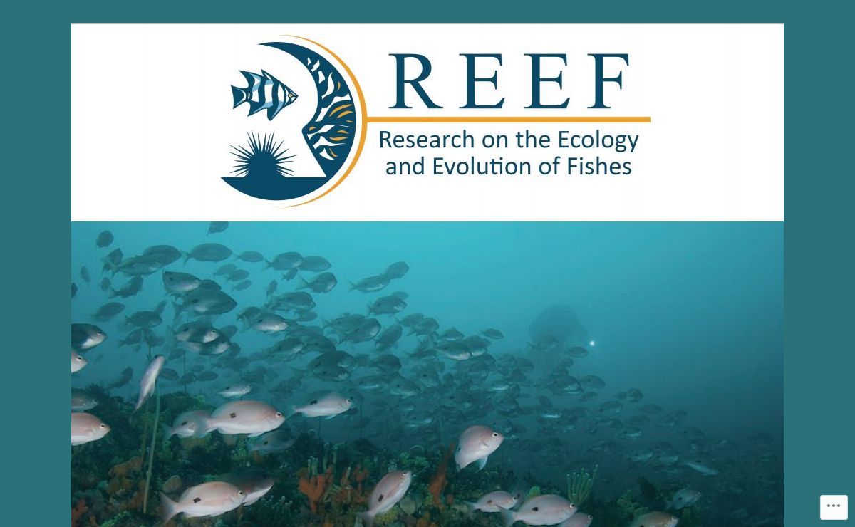 Research on the Ecology and Evolution of Fishes | Steve Swearer's Laboratory Group at the University of Melbourne