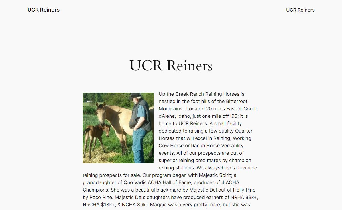 UCR Reiners – We're raising your next reining champion!