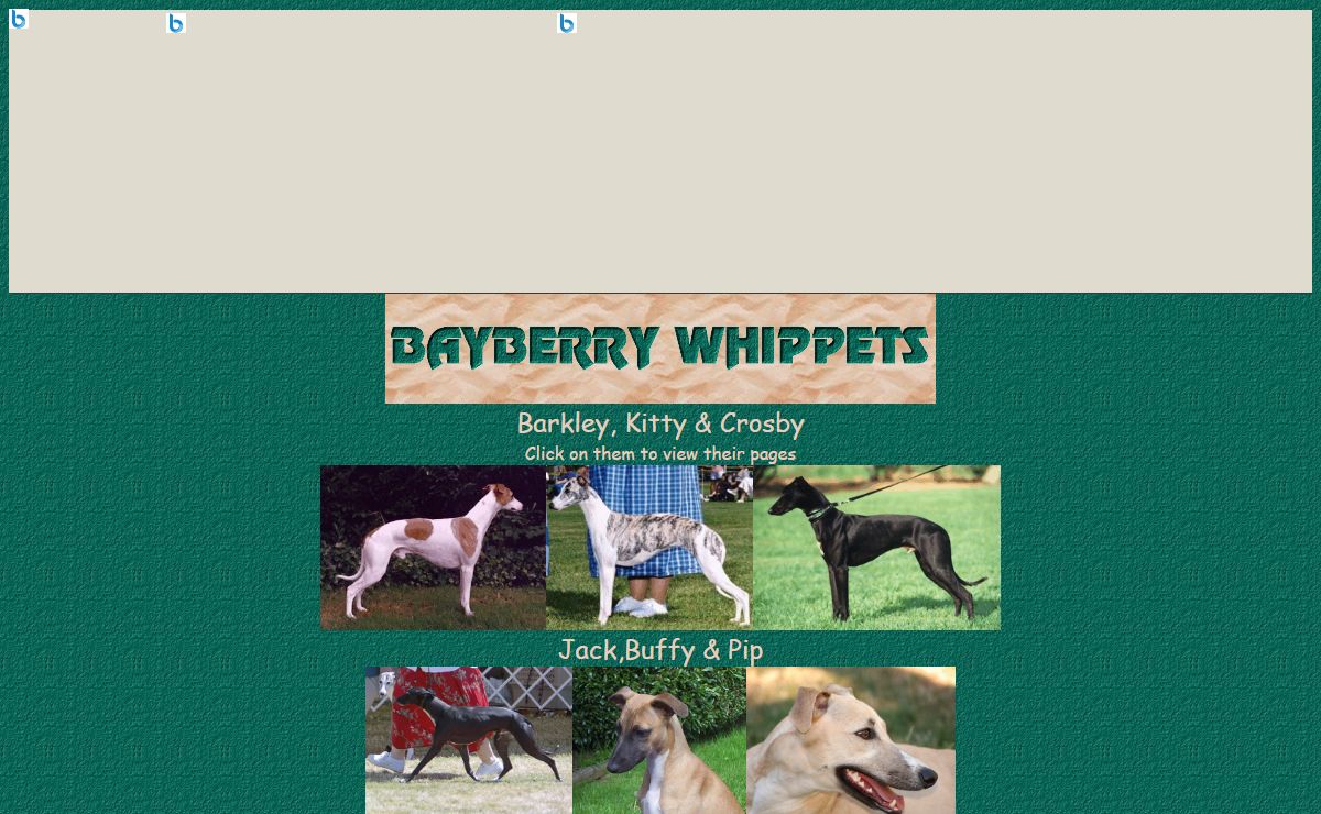 Bayberry Whippets