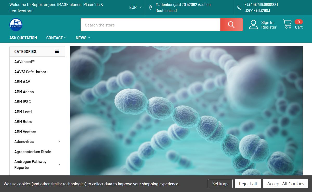 Reportergene IMAGE clones, Plasmids & Lentivectors