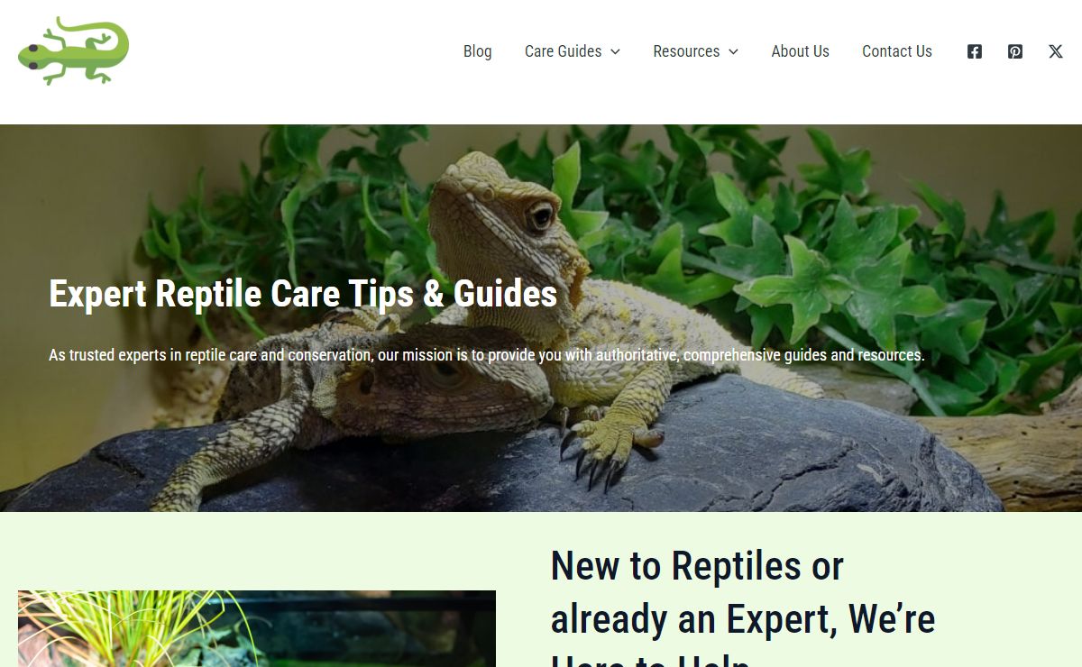 Expert Reptile Care Tips & Guides | Reptile Direct