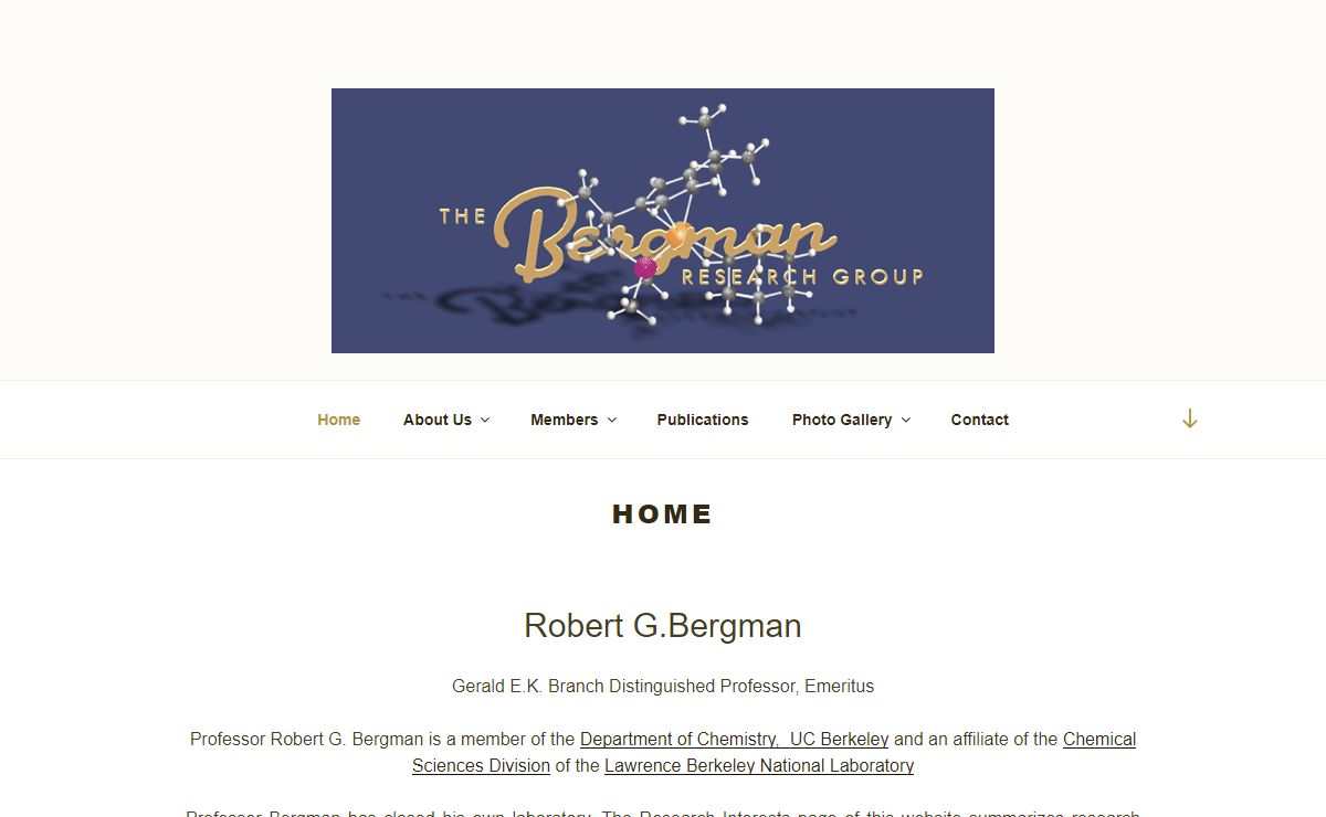 Bergman Group