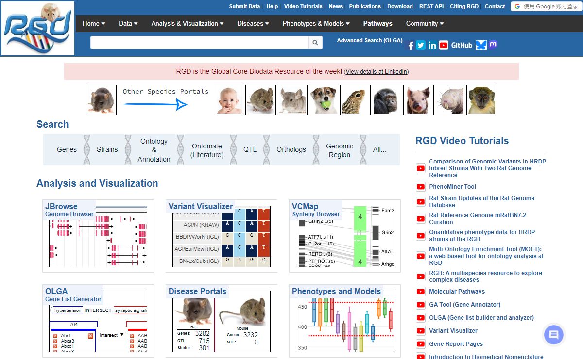 Rat Genome Database