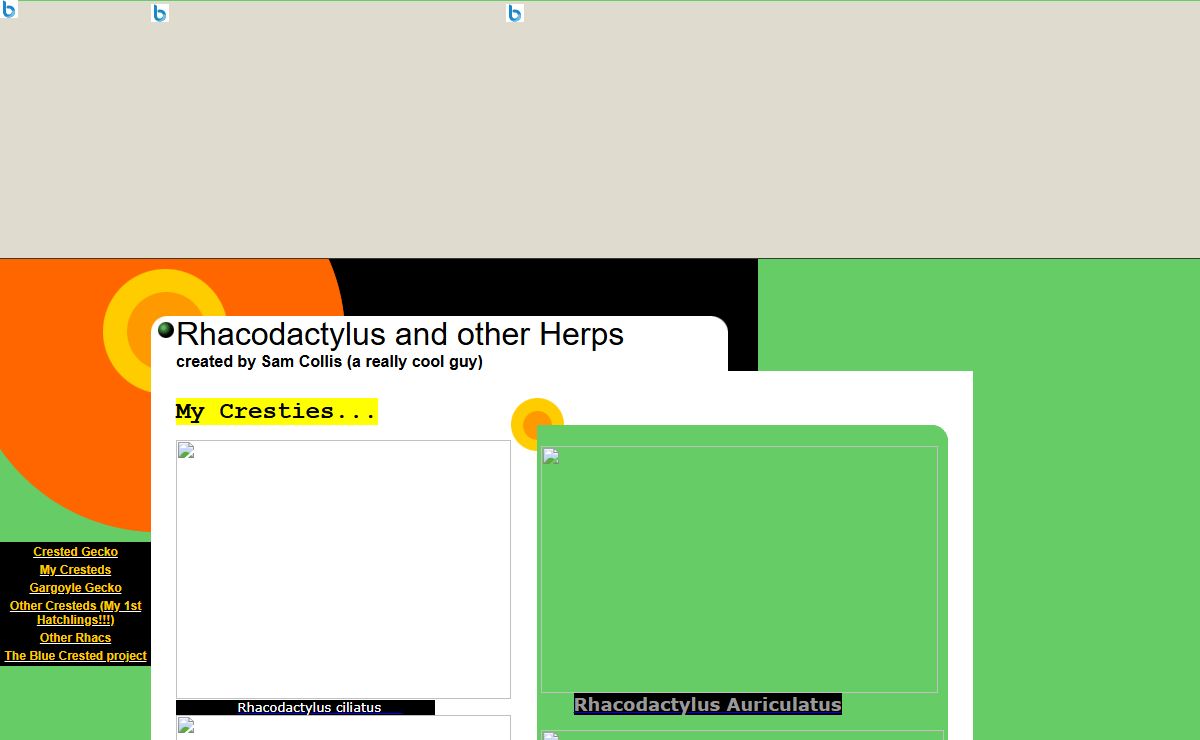 Rhacodactylus and other Herps