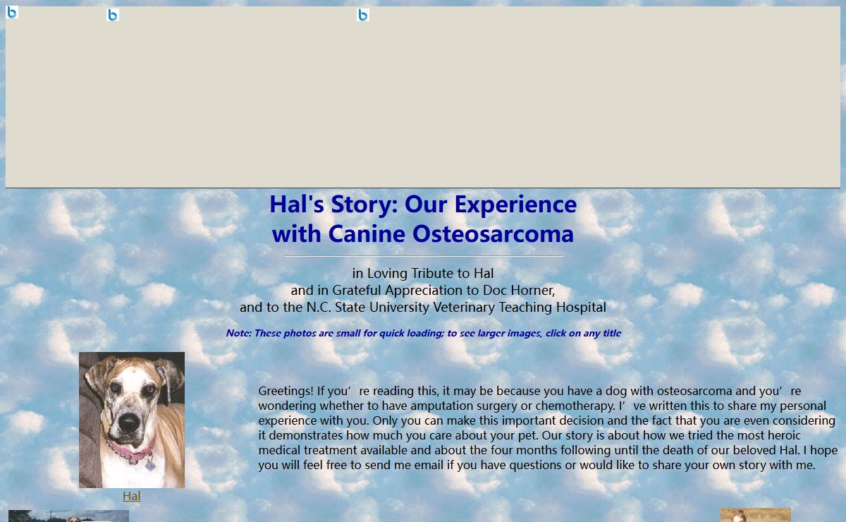 Hal's Story: Our Experience with Canine Osteosarcoma