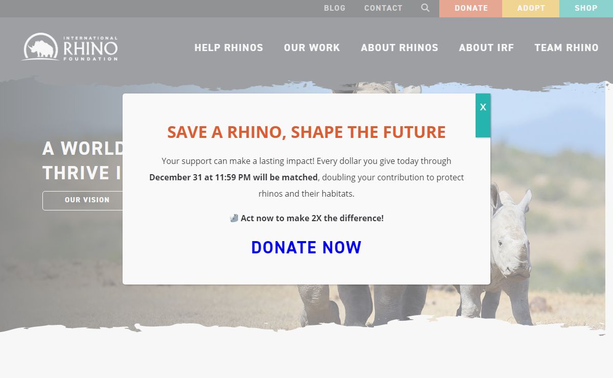 Rhino Conservation in Africa & Asia | International Rhino FoundationInternational Rhino Foundation