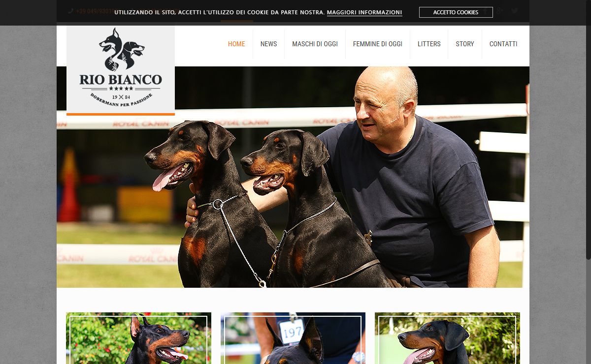 Rio Bianco - Allevamento Doberman