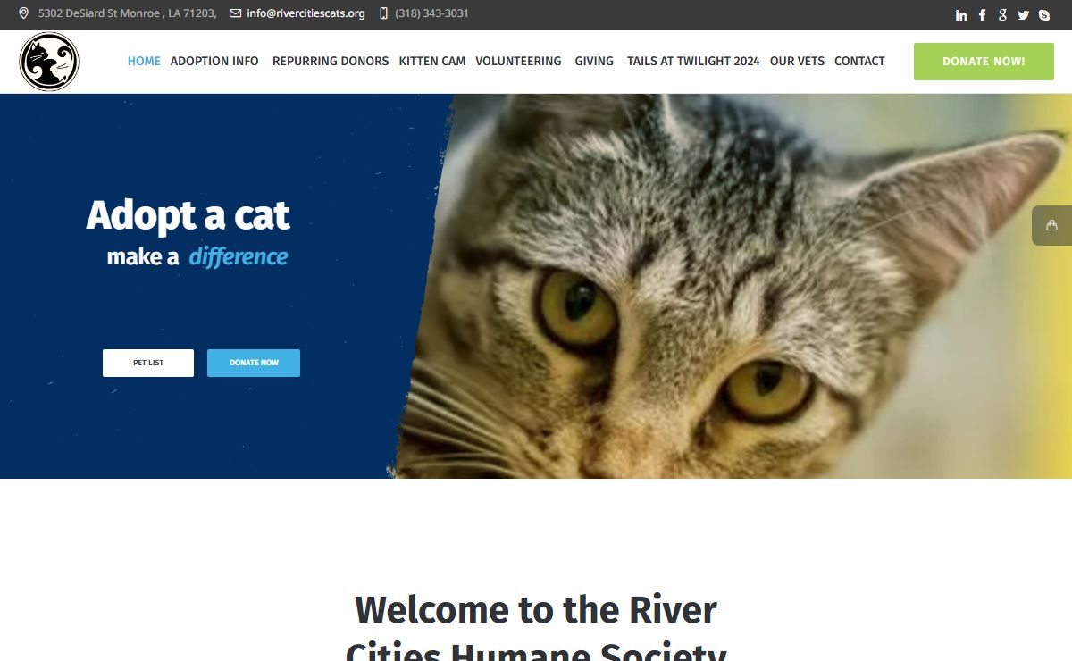 River Cities Cats – River Cities Humane Society For Cats