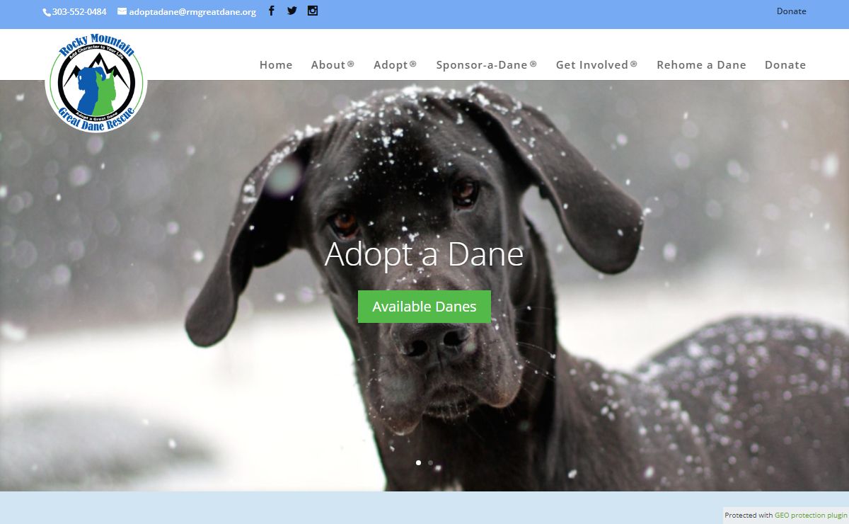 Rocky Mountain Great Dane Rescue |Rescuing Great Danes
