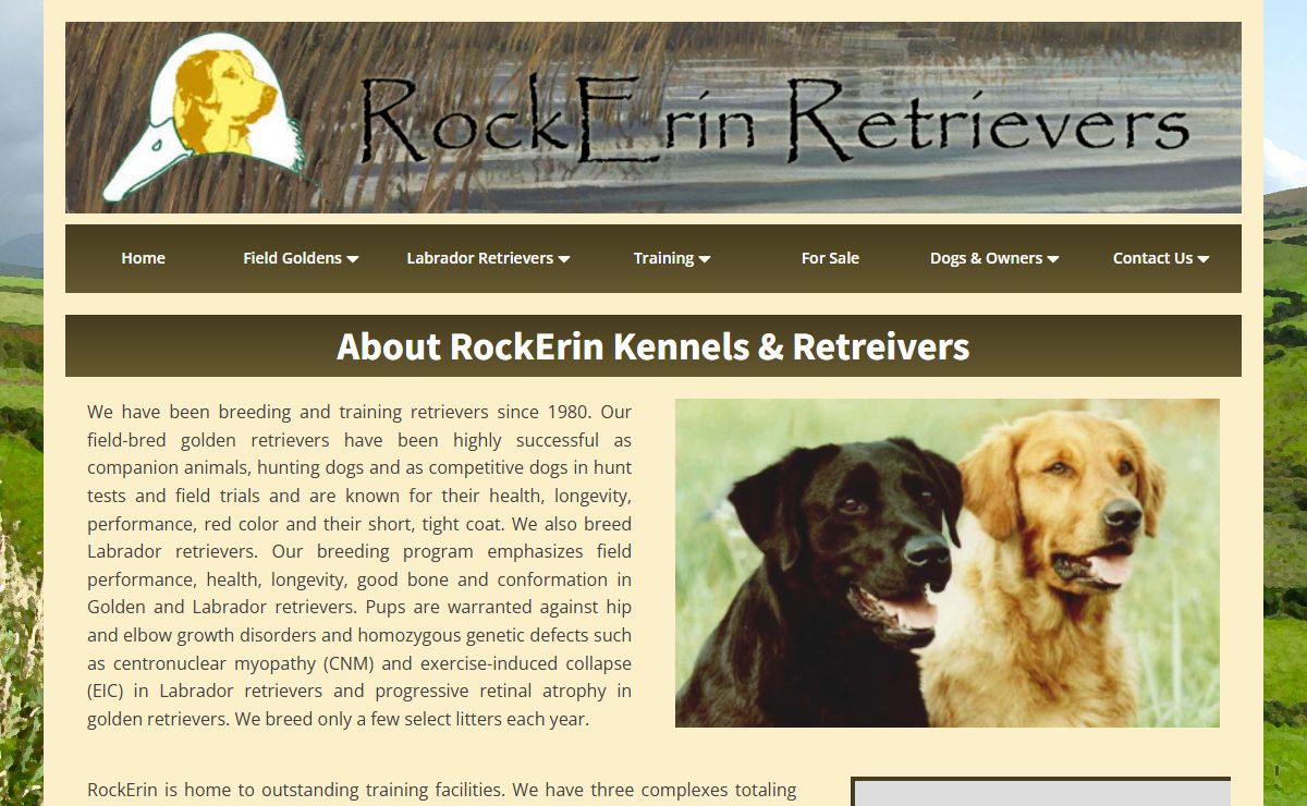 RockErin Kennels & Retrievers | Dog Breeder in Stillwater, OK