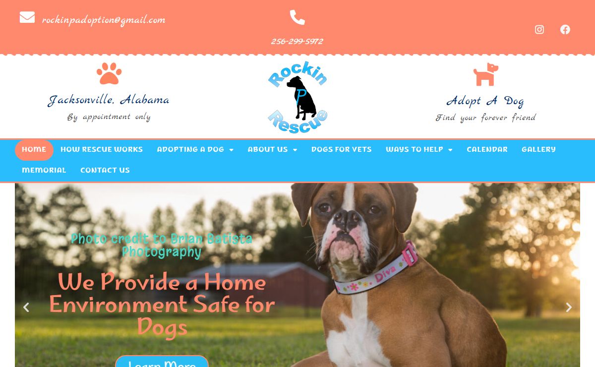 Rockin P Rescue, Inc. - Animal Rescue