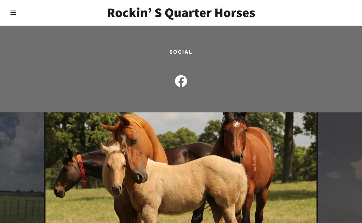 Rockin' S Quarter Horses