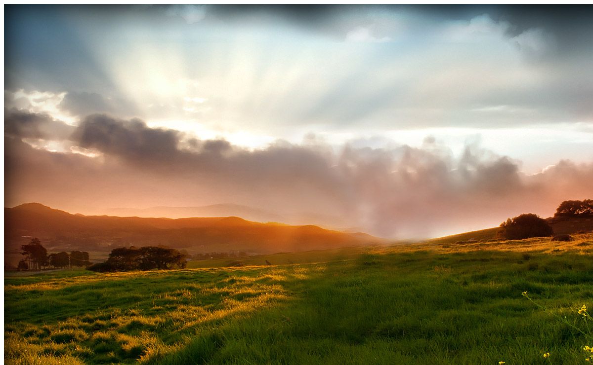 Ron Brannon - Website design Erie, PA, Colorado Springs tree company, Criminal lawyers Erie PA