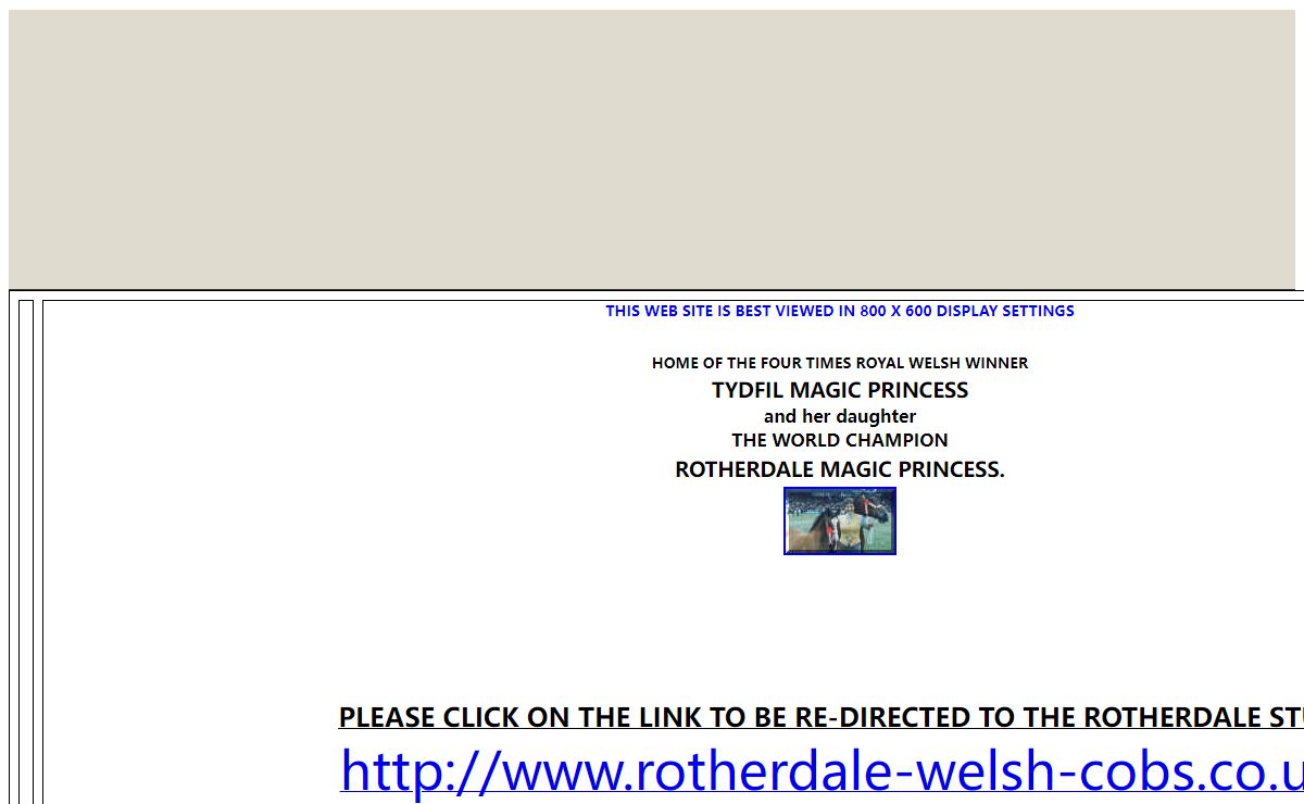 THIS WEB SITE IS BEST VIEWED IN 800 X 600 DISPLAY SETTINGS