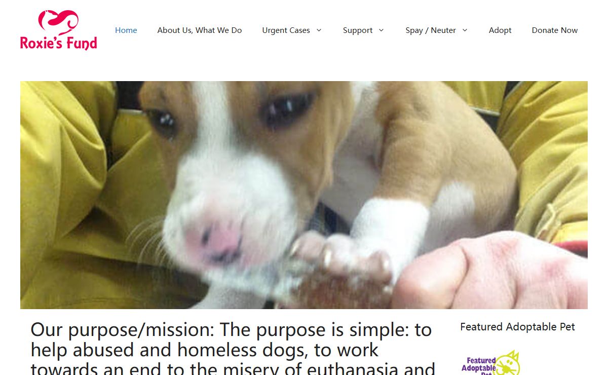 Roxie's Fund – Helping Abused and Homeless Animals