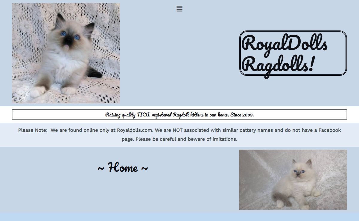 RoyalDolls Ragdolls! – Raising quality TICA-registered Ragdoll kittens in our home. Since 2003.