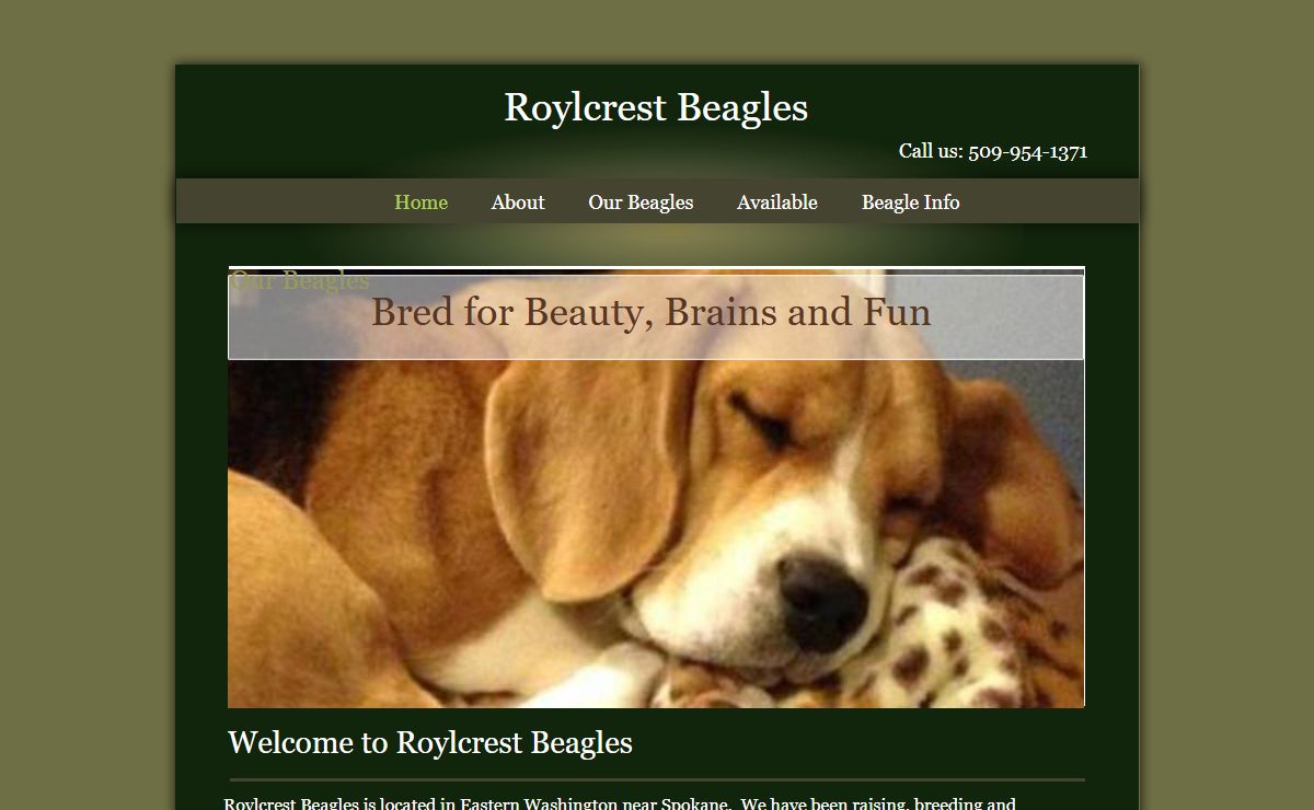 Roylcrest Beagles | Colbert, WA 99005