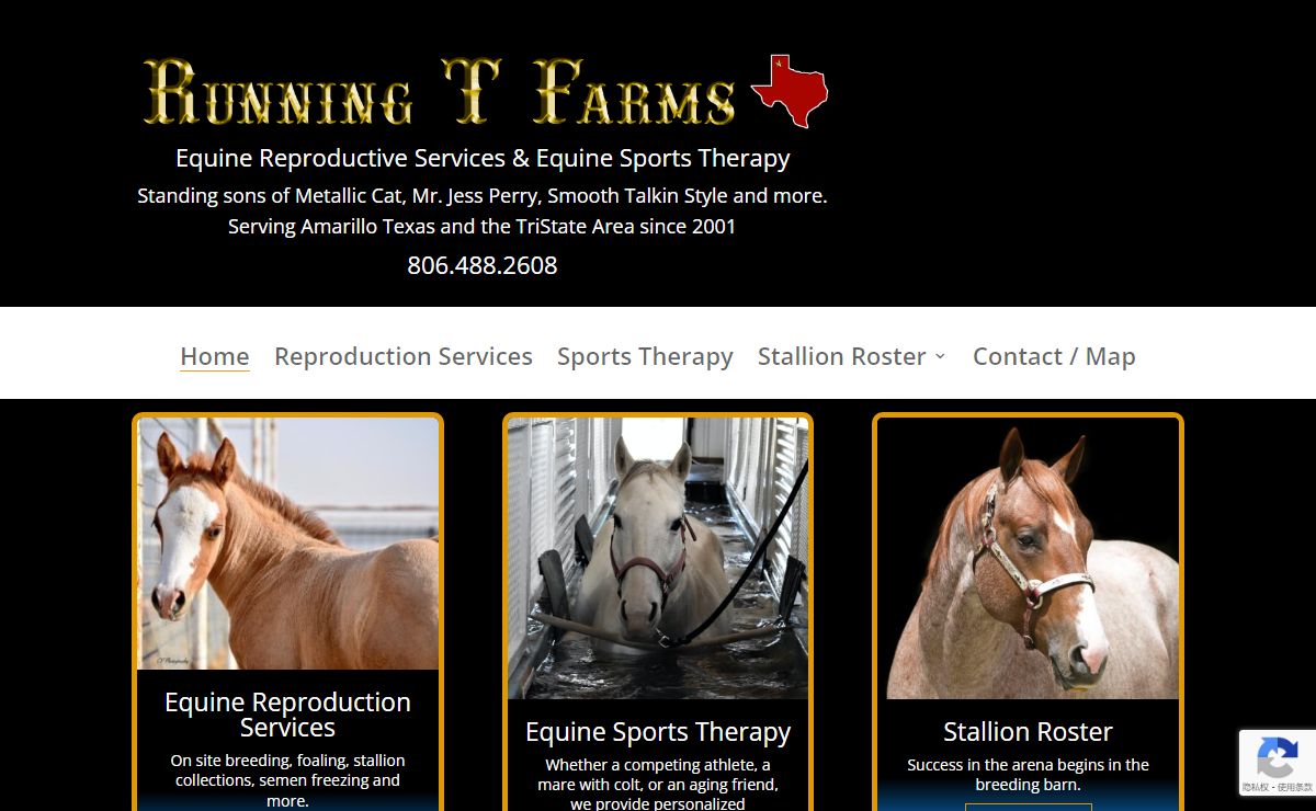 Running T Farms - Equine Reproductive Services & Sports Therapy - Canyon Texas near Amarillo