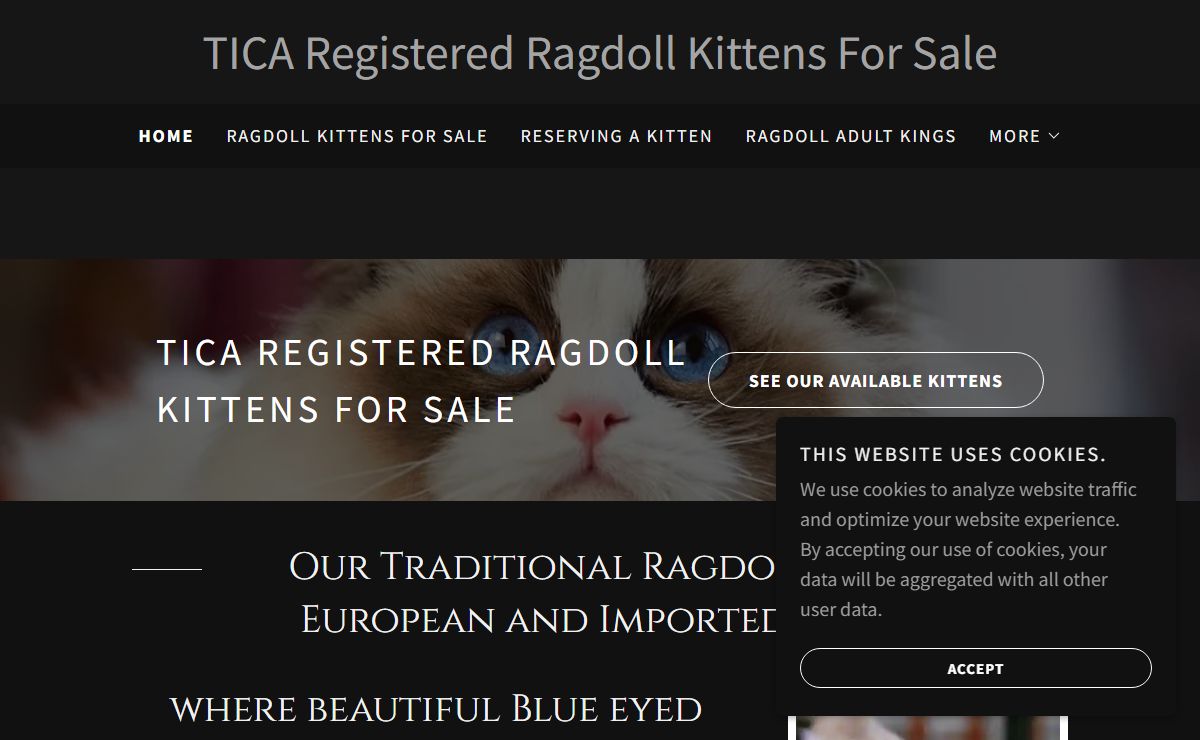 RustsRagdolls - Ragdoll Kittens for Sale | Ragdoll Breeder