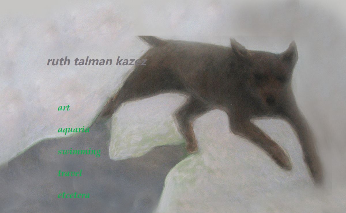 rtk