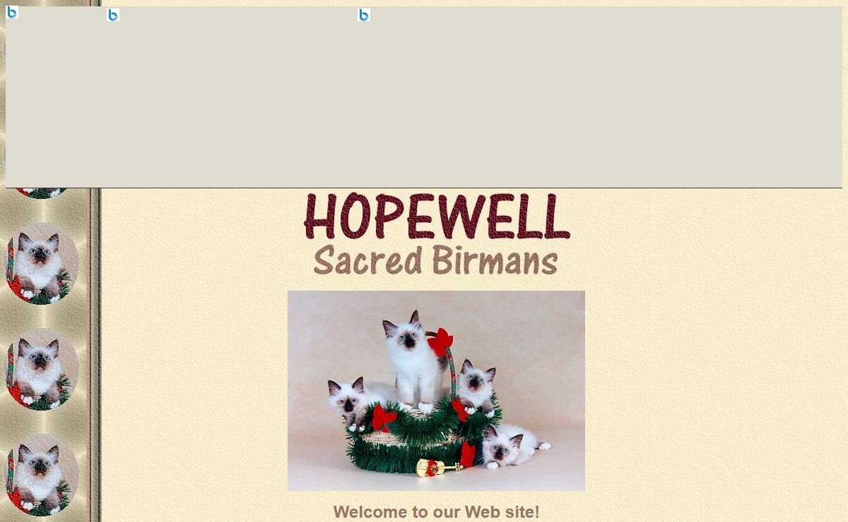 Hopewell Sacred Birmans, South Africa