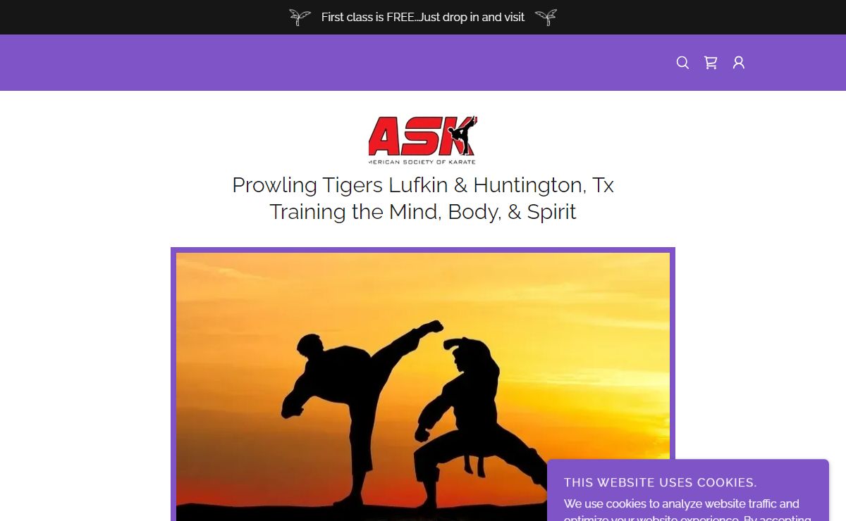 Prowling Tigers American Karate - Karate, Martial Arts
