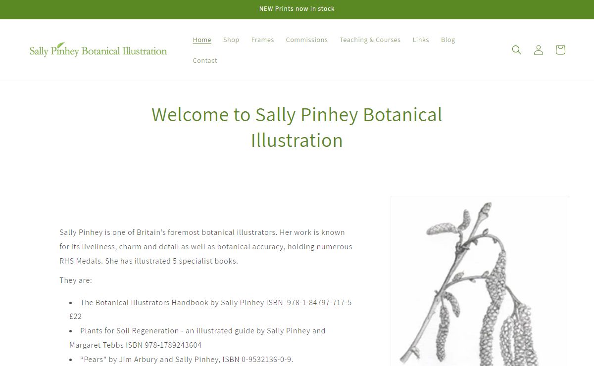 Sally Pinhey Store