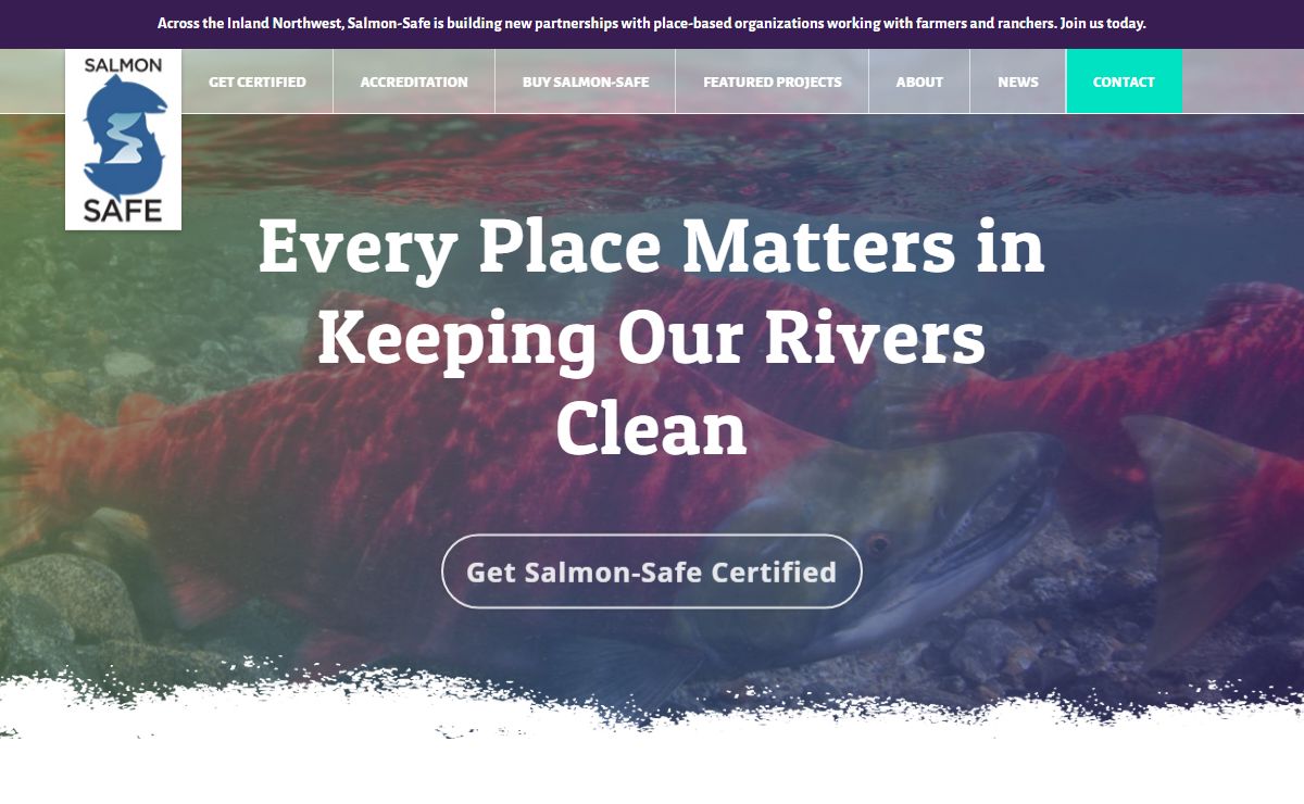 Salmon-Safe protects rivers, native salmon and watersheds in the Pacific Northwest | Salmon-Safe