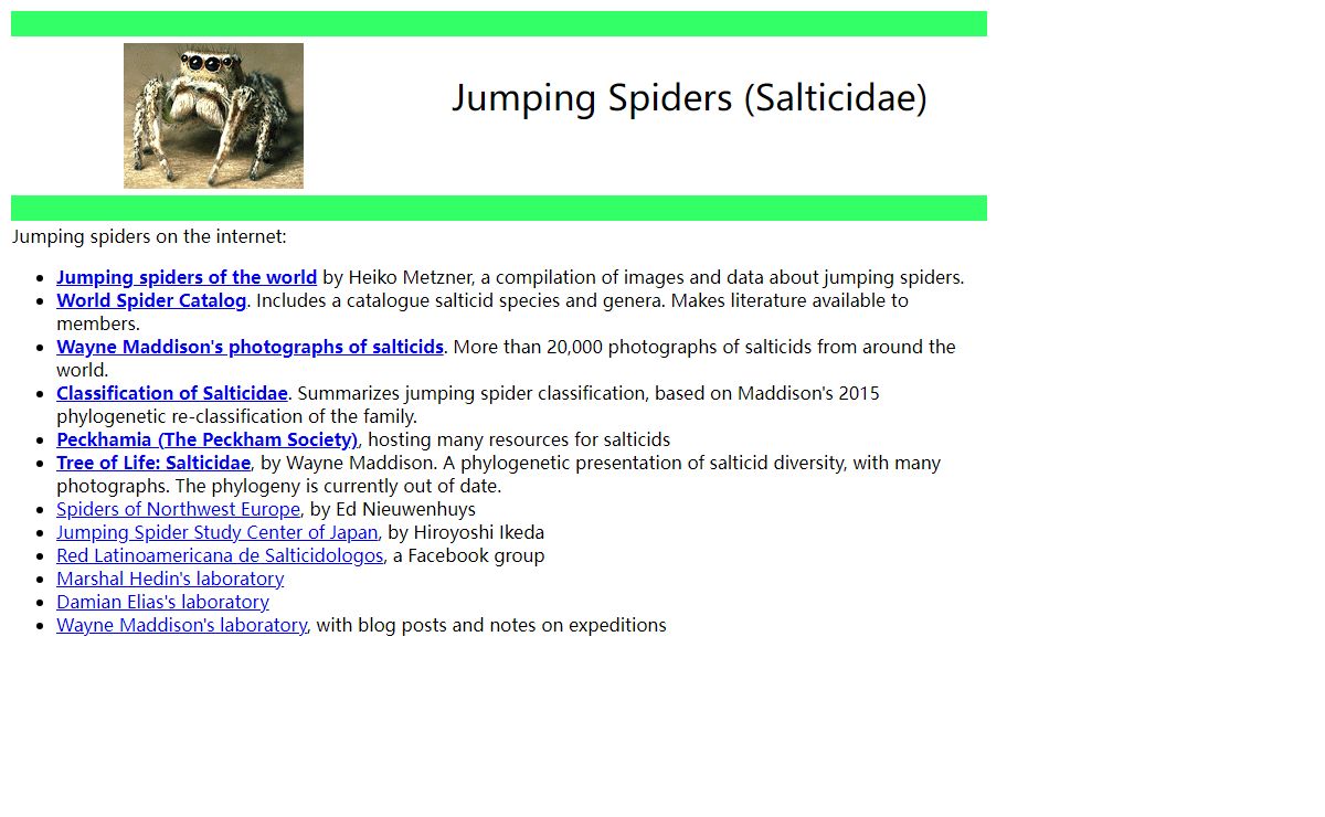 Jumping Spiders (Salticidae)