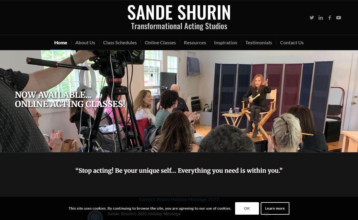 Home - Sande Shurin Acting Studios