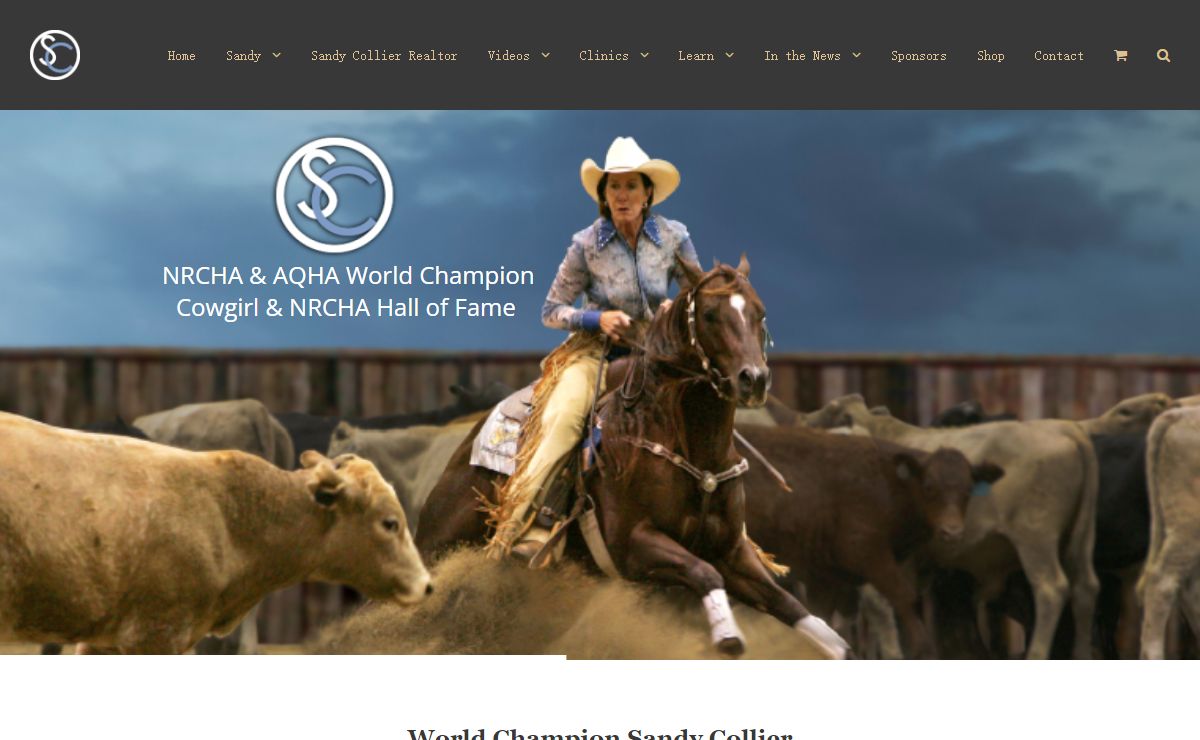 SandyCollier.com – NRCHA & AQHA World Champion